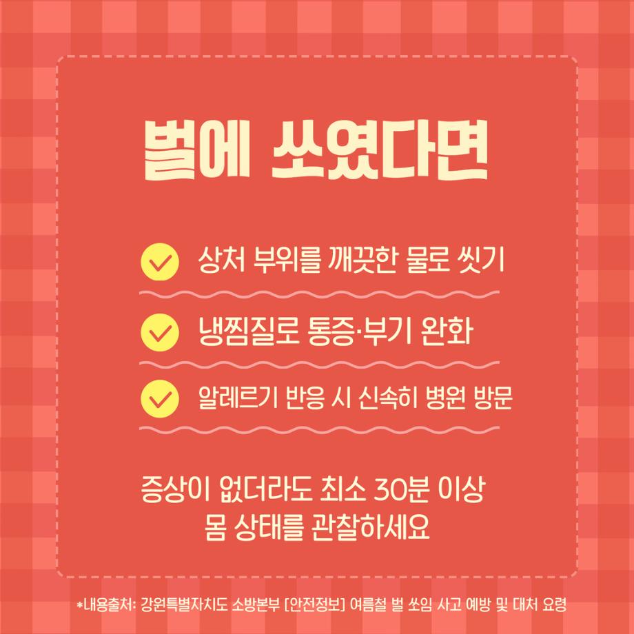 벌쏘임 3