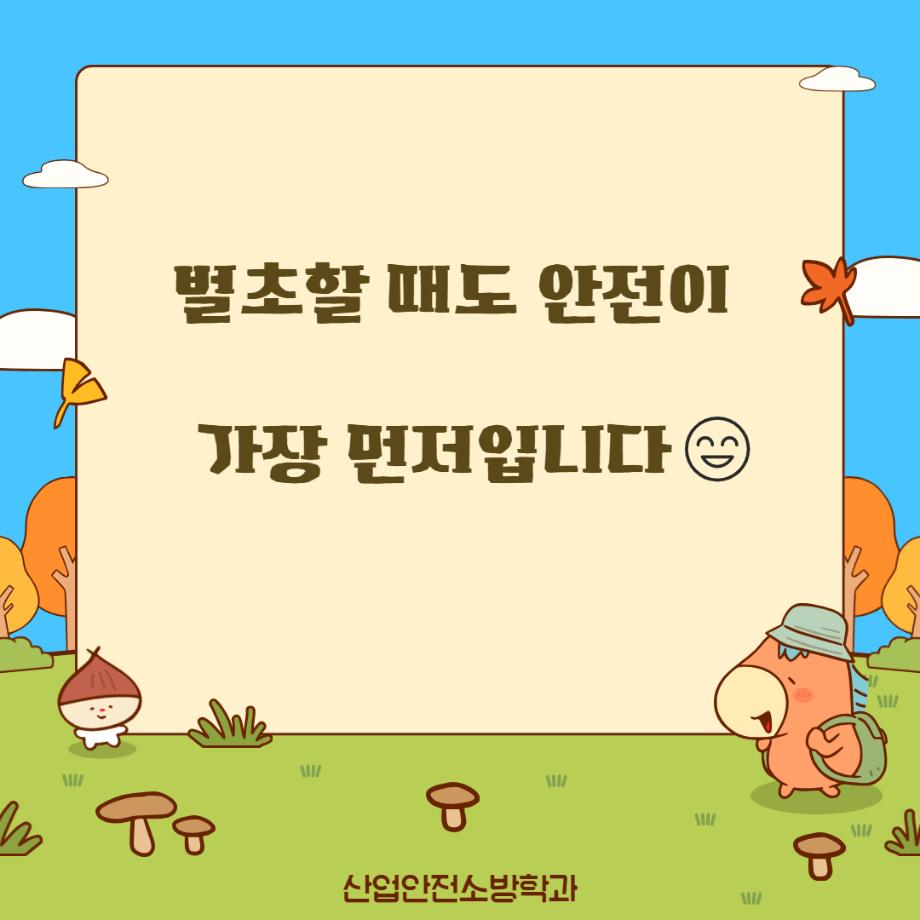 벌초4