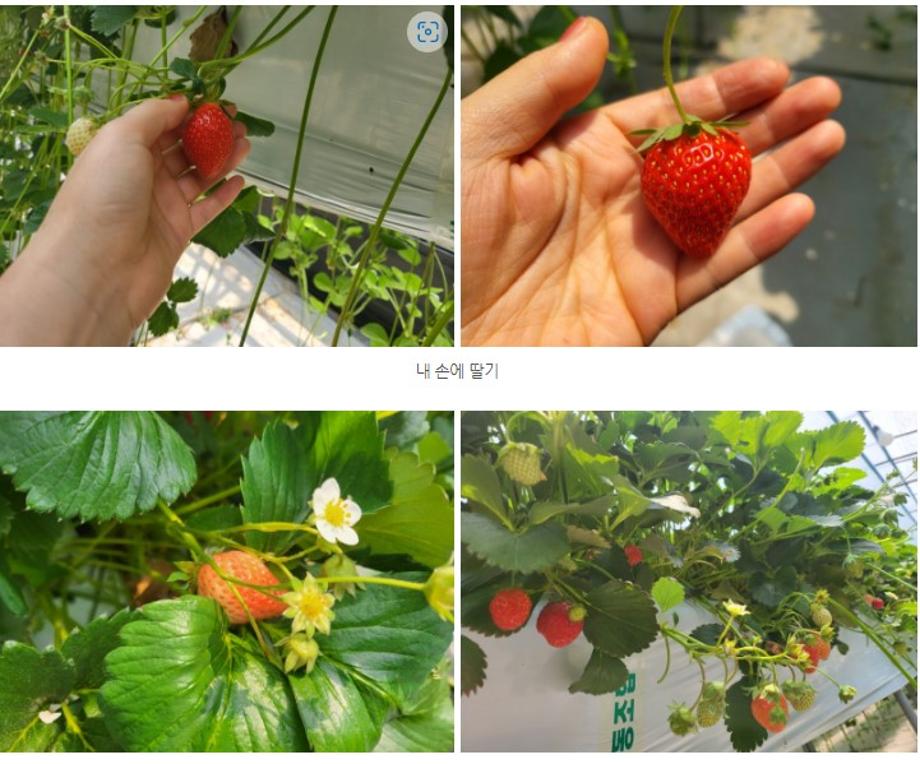 화면 캡처 2022-06-10 131008
