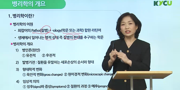 전자칠판 판서 유형