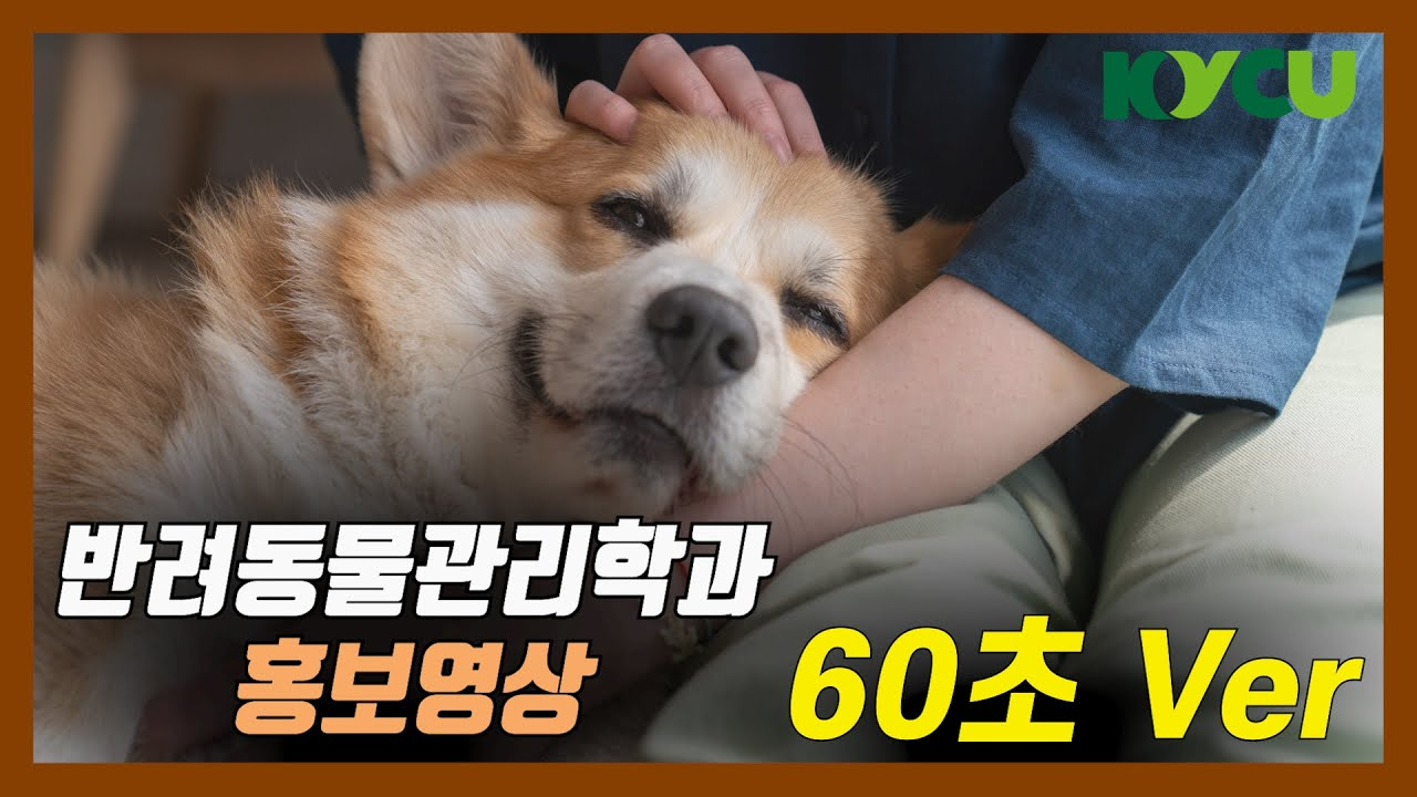 반려동물관리학과 홍보영상 60초 Ver